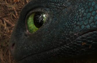 Find out how to Prepare Your Dragon Director Justifies the Dwell-Motion Movie’s Existence