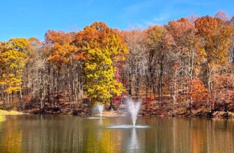 The Little Issues E-newsletter #442 – Life, laughter, and many nice meals!