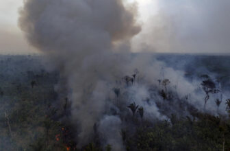 2024 is on its approach to being the most popular 12 months ever