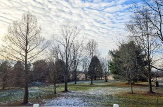 The Little Issues Publication #447 – Life, laughter, and many nice meals!