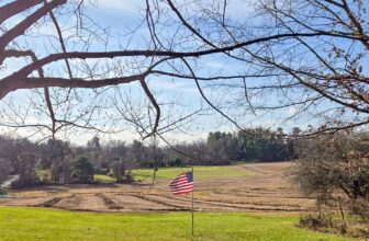 The Little Issues Publication #449 – Life, laughter, and many nice meals!