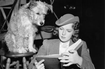 The ten Most Intriguing Sci-Fi and Horror Scripts on This 12 months’s Black Checklist