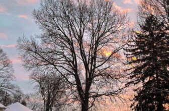 The Little Issues Publication #452 – Life, laughter, and many nice meals!