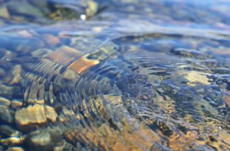 The Risks of Ingesting ‘Uncooked Water’