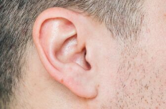 People Misplaced the Skill to Swivel Their Ears—However These Vestigial Muscle mass Nonetheless Twitch