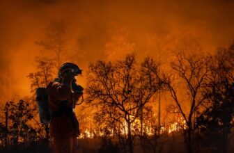 What’s Subsequent for L.A.’s Wildfire Disaster