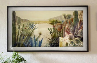 The most effective 2025 Tremendous Bowl TV offers from Samsung, LG, Sony and extra