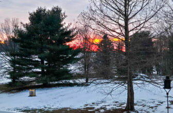 The Little Issues Publication #455 – Life, laughter, and plenty of nice meals!