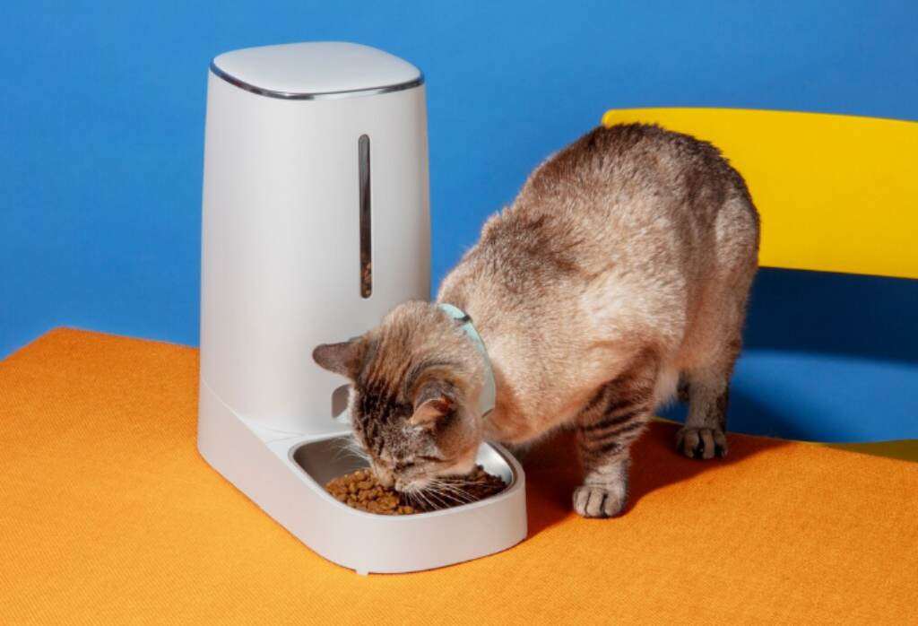 Cat eating out of an automatic feeder