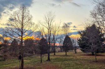 The Little Issues E-newsletter #458 – Life, laughter, and many nice meals!