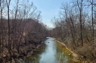 The Little Issues E-newsletter #460 – Life, laughter, and plenty of nice meals!