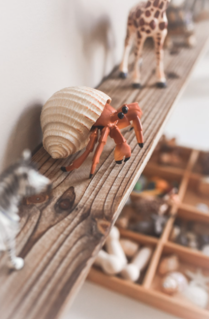  A playroom with toy animals.