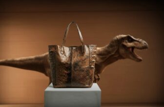 Dinosaur Purse? Scientists Aren’t Shopping for This T. Rex Leather-based Declare