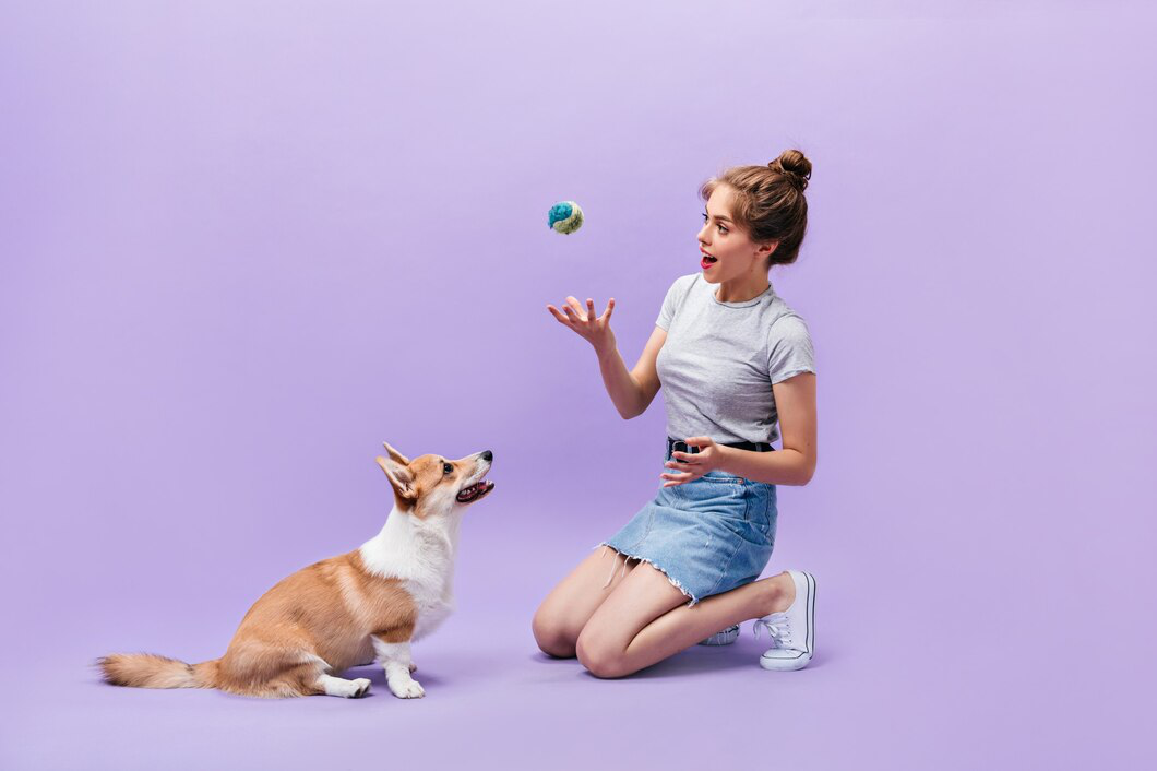 Dog playing with a ball