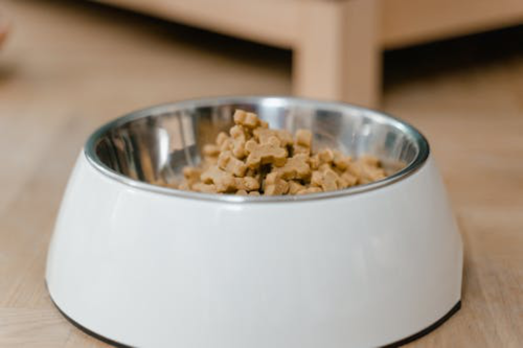 Organic pet food in a bowl
