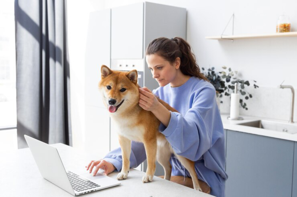 A woman using a laptop to order dog supplies online while her playful dog distracts her