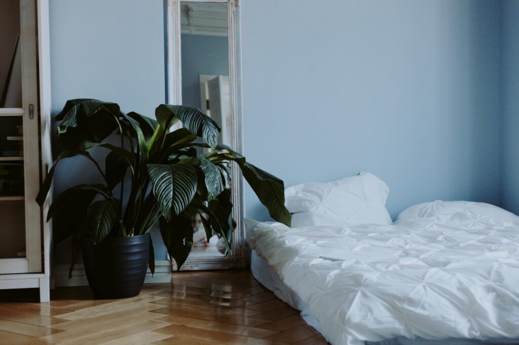 a plant and mirror set beside a bed in a room with blue walls