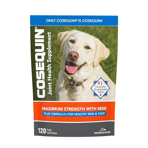 Joint supplement for dogs 