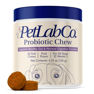 Daily Pet Care Essentials That Boost Comfort and Wellness
